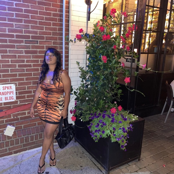 Leopard dress - Picture 3 of 4